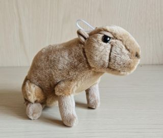 Obrázek z Kapybara plyš 14cm 